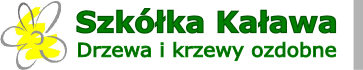 Szkółka Kaława